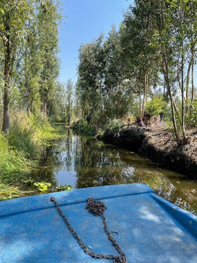 Xochimilco-3-Web