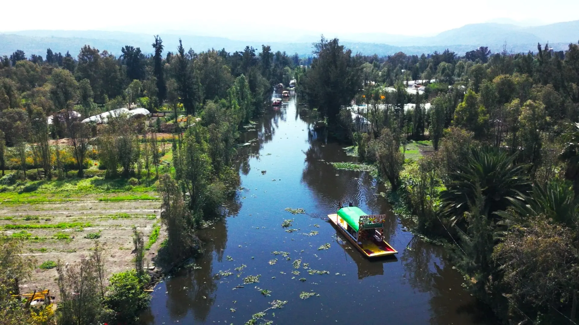Experiencias en Xochimilco